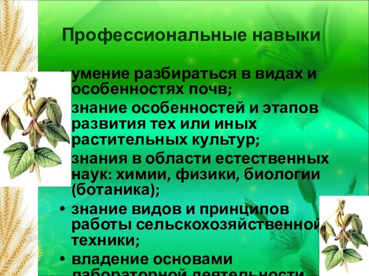 Профессиональные навыки умение разбираться в видах и особенностях почв; знание особенностей и