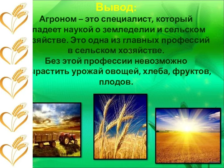 Вывод: Агроном – это специалист, который владеет наукой о земледелии и сельском