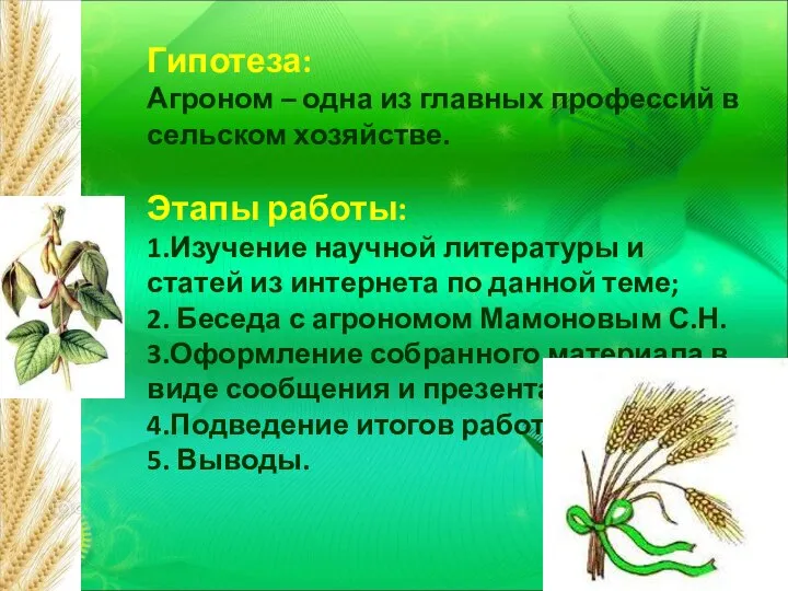 Гипотеза: Агроном – одна из главных профессий в сельском хозяйстве. Этапы работы: