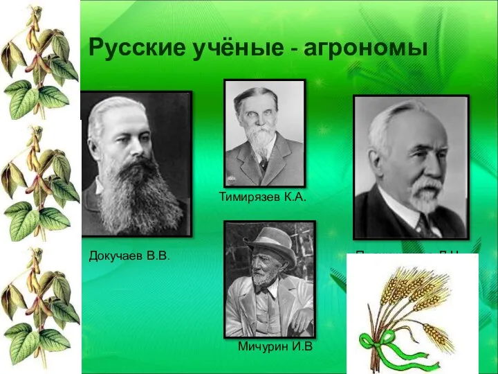 Русские учёные - агрономы Докучаев В.В. Прянишников Д.Н. Тимирязев К.А. Мичурин И.В