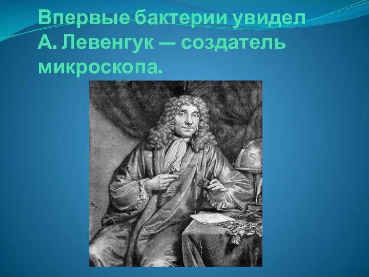 Впервые бактерии увидел А. Левенгук — создатель микроскопа.