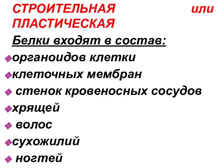 СТРОИТЕЛЬНАЯ или ПЛАСТИЧЕСКАЯ Белки входят в состав: органоидов клетки клеточных мембран стенок