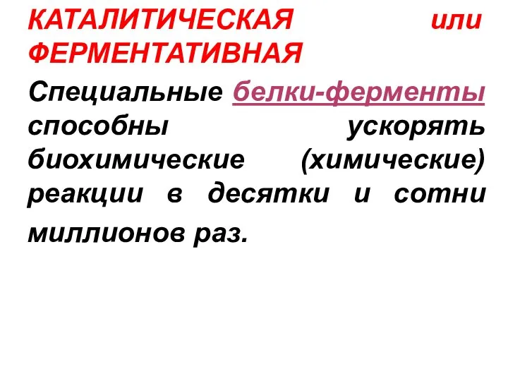 КАТАЛИТИЧЕСКАЯ или ФЕРМЕНТАТИВНАЯ Специальные белки-ферменты способны ускорять биохимические (химические) реакции в десятки и сотни миллионов раз.