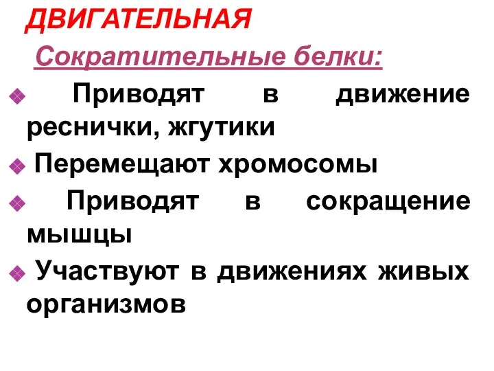 ДВИГАТЕЛЬНАЯ Сократительные белки: Приводят в движение реснички, жгутики Перемещают хромосомы Приводят в