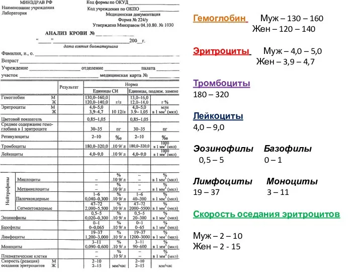 Гемоглобин Муж – 130 – 160 Жен – 120 – 140 Эритроциты