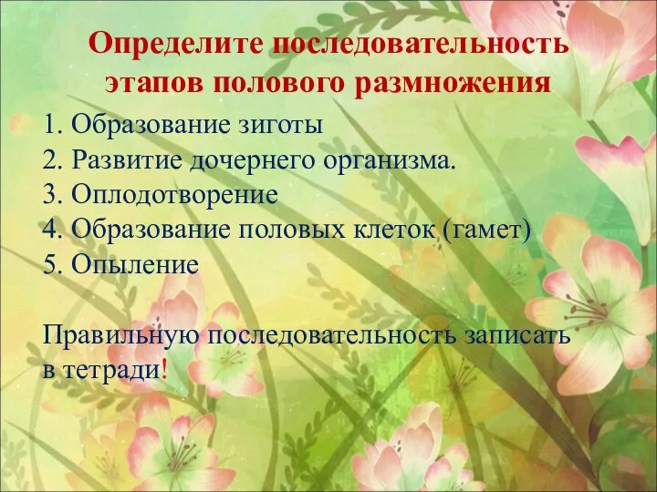 Определите последовательность этапов полового размножения 1. Образование зиготы 2. Развитие дочернего организма.