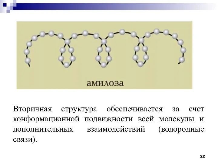 Вторичная структура обеспечивается за счет конформационной подвижности всей молекулы и дополнительных взаимодействий (водородные связи).