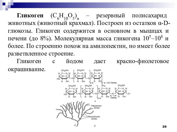 Гликоген (С6Н10О5)n – резервный полисахарид животных (животный крахмал). Построен из остатков α-D-глюкозы.