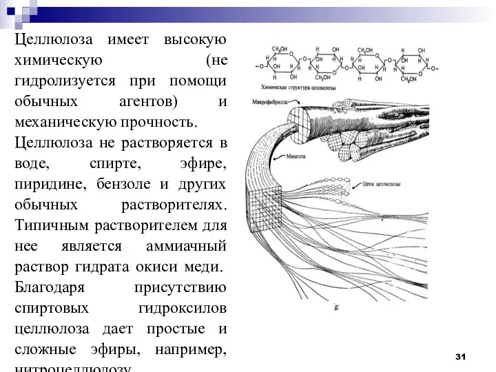 Целлюлоза имеет высокую химическую (не гидролизуется при помощи обычных агентов) и механическую