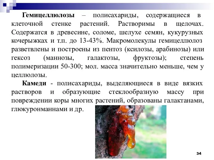 Гемицеллюлозы – полисахариды, содержащиеся в клеточной стенке растений. Растворимы в щелочах. Содержатся