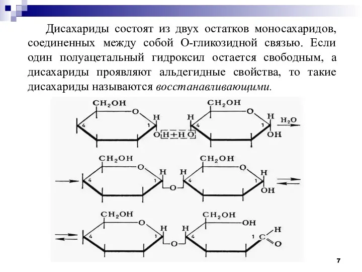 Дисахариды состоят из двух остатков моносахаридов, соединенных между собой О-гликозидной связью. Если