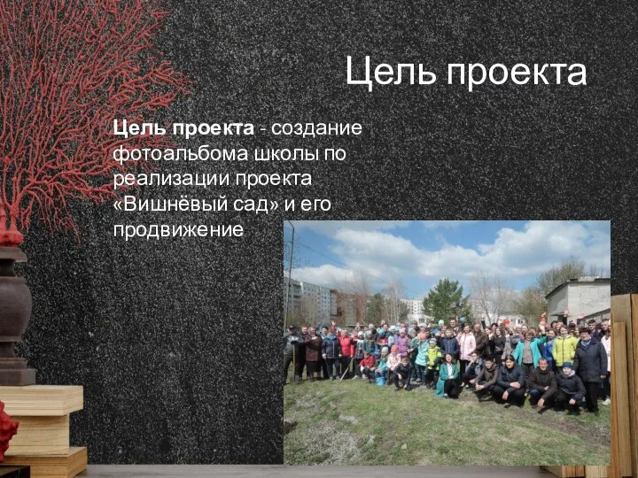 Цель проекта Цель проекта - создание фотоальбома школы по реализации проекта «Вишнёвый сад» и его продвижение