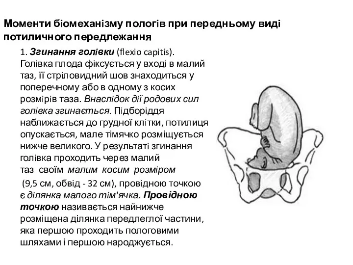 Моменти бiомеханiзму пологiв при передньому видi потиличного передлежання 1. Згинання голiвки (flexio