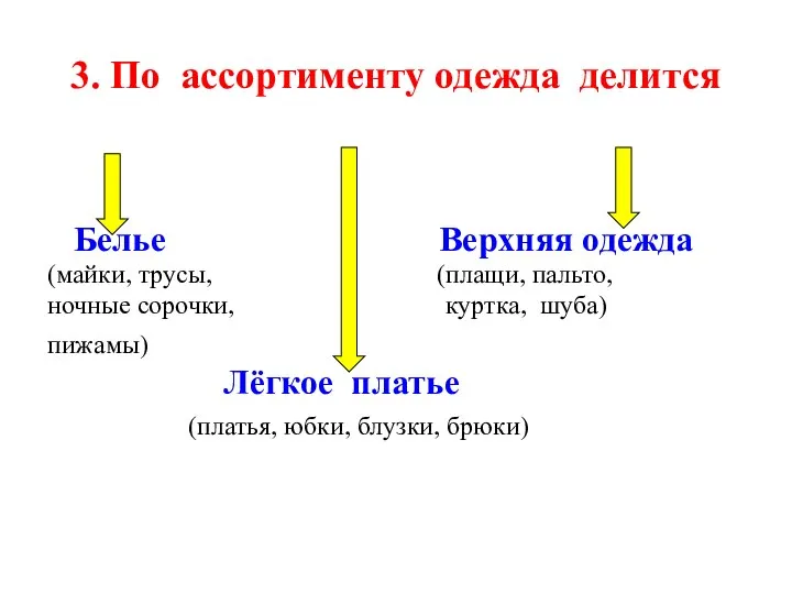 3. По ассортименту одежда делится Белье Верхняя одежда (майки, трусы, (плащи, пальто,