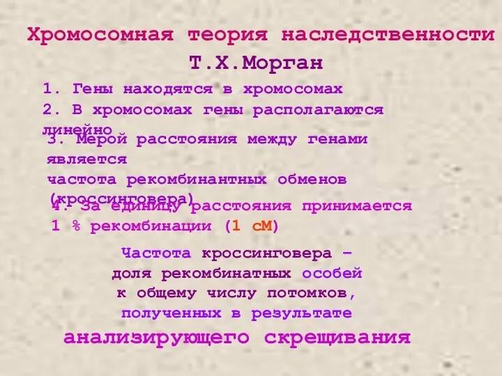 Хромосомная теория наследственности Т.Х.Морган 1. Гены находятся в хромосомах 2. В хромосомах