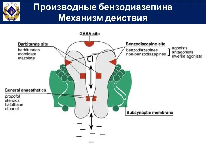 Производные бензодиазепина Механизм действия