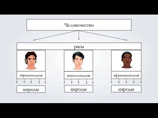 Человечество расы европеоидная монголоидная африканоидная народы народы народы