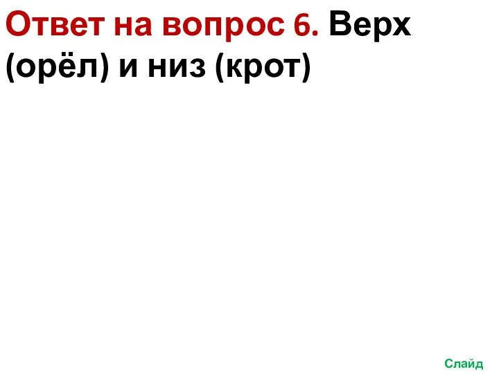 Слайд 14 Ответ на вопрос 6. Верх (орёл) и низ (крот)