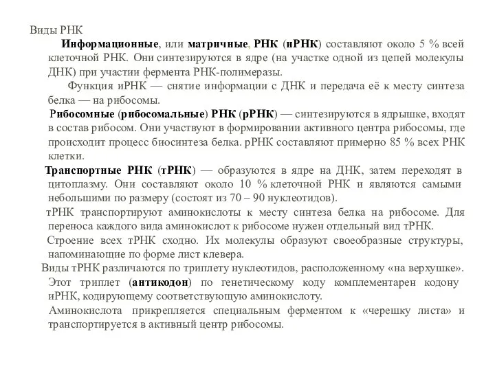 Виды РНК Информационные, или матричные, РНК (иРНК) составляют около 5 % всей