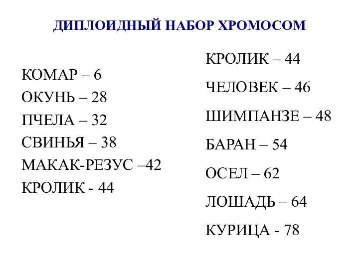 ДИПЛОИДНЫЙ НАБОР ХРОМОСОМ КОМАР – 6 ОКУНЬ – 28 ПЧЕЛА – 32