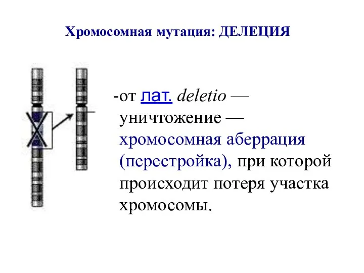 Хромосомная мутация: ДЕЛЕЦИЯ от лат. deletio — уничтожение — хромосомная аберрация (перестройка),