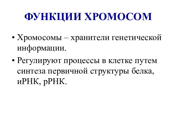 ФУНКЦИИ ХРОМОСОМ Хромосомы – хранители генетической информации. Регулируют процессы в клетке путем