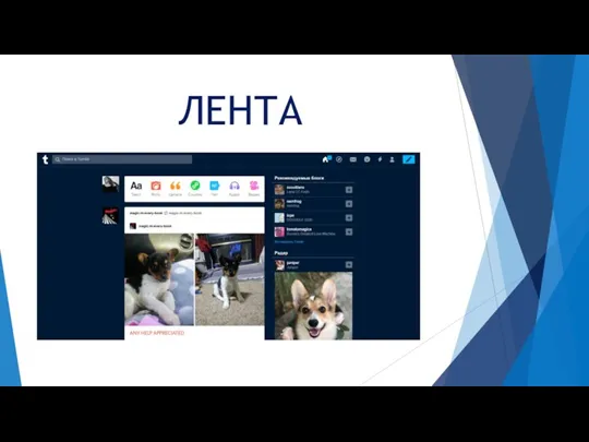 ЛЕНТА