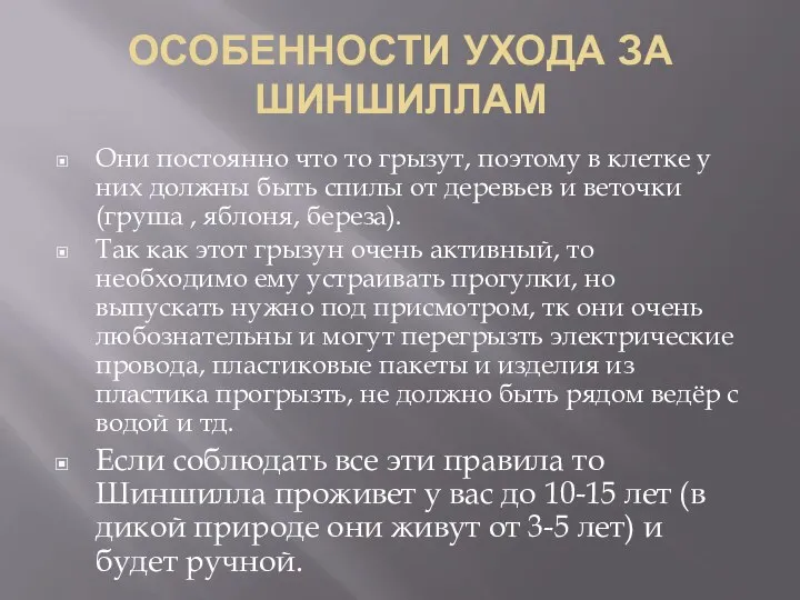 ОСОБЕННОСТИ УХОДА ЗА ШИНШИЛЛАМ Они постоянно что то грызут, поэтому в клетке