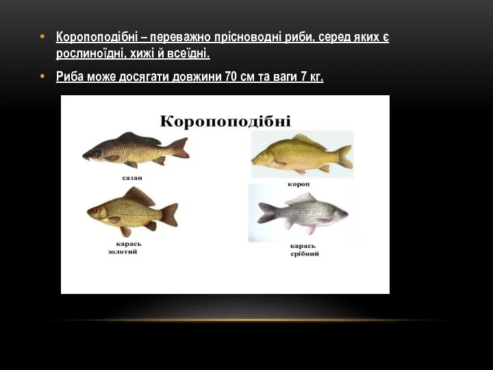 Коропоподібні – переважно прісноводні риби, серед яких є рослиноїдні, хижі й всеїдні.