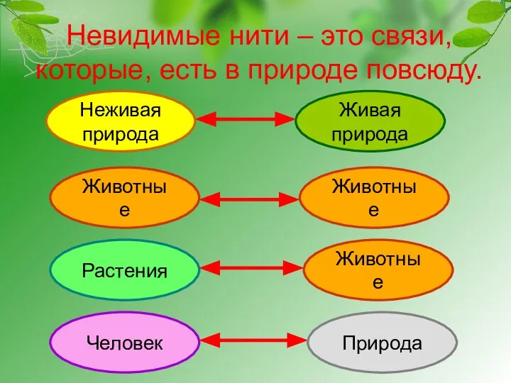 Невидимые нити – это связи, которые, есть в природе повсюду. Неживая природа