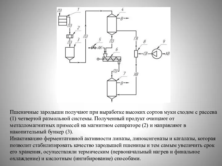 Пшеничные зародыши получают при выработке высоких сортов муки сходом с рассева (1)