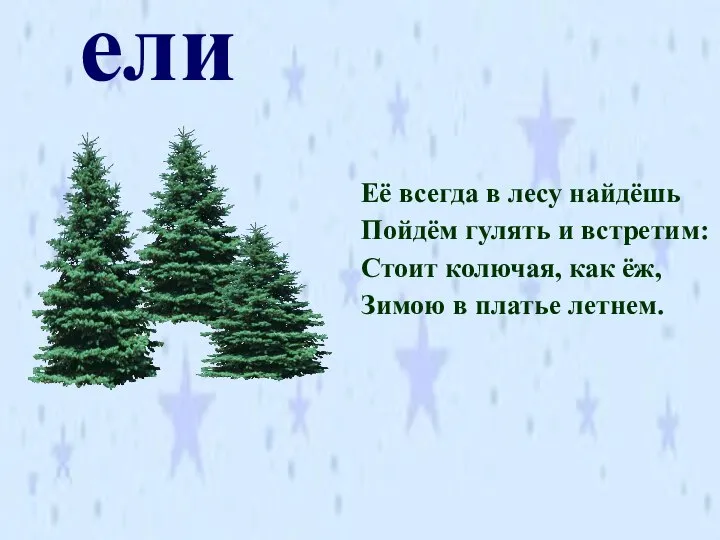 ели Её всегда в лесу найдёшь Пойдём гулять и встретим: Стоит колючая,