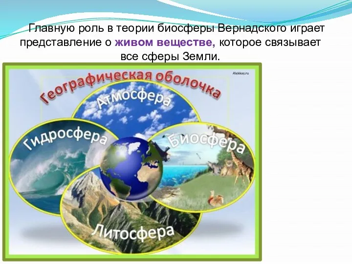 Главную роль в теории биосферы Вернадского играет представление о живом веществе, которое связывает все сферы Земли.