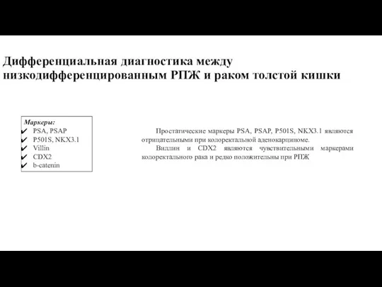 Дифференциальная диагностика между низкодифференцированным РПЖ и раком толстой кишки Маркеры: PSA, PSAP