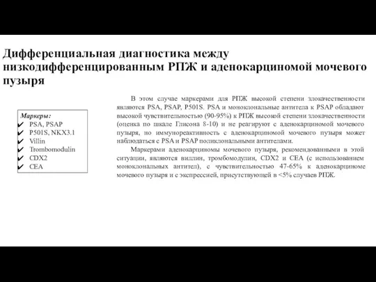 Дифференциальная диагностика между низкодифференцированным РПЖ и аденокарциномой мочевого пузыря В этом случае