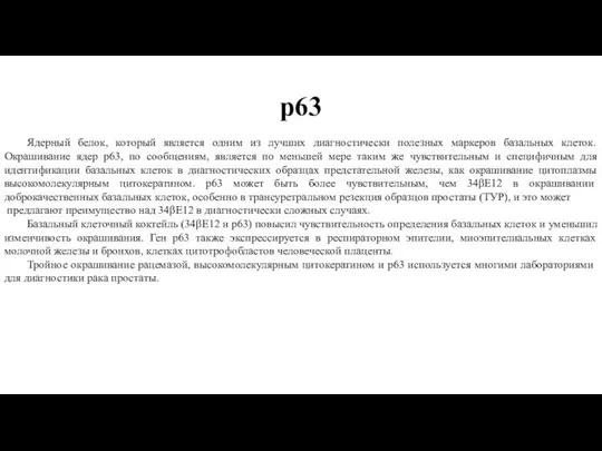 p63 Ядерный белок, который является одним из лучших диагностически полезных маркеров базальных