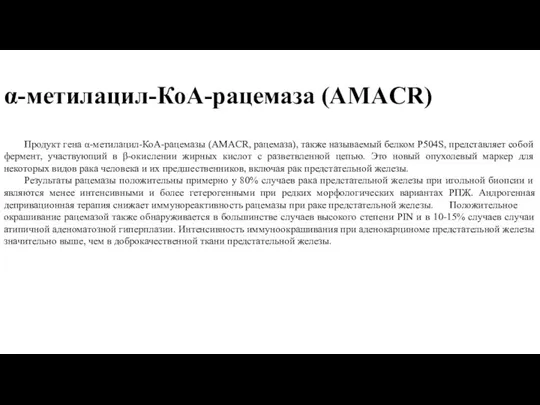 α-метилацил-КоА-рацемаза (AMACR) Продукт гена α-метилацил-КоА-рацемазы (AMACR, рацемаза), также называемый белком P504S, представляет