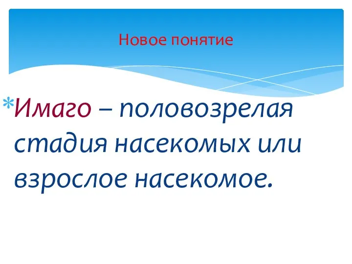 Имаго – половозрелая стадия насекомых или взрослое насекомое. Новое понятие