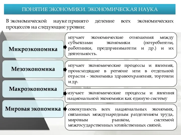 ПОНЯТИЕ ЭКОНОМИКИ. ЭКОНОМИЧЕСКАЯ НАУКА В экономической науке принято деление всех экономических процессов