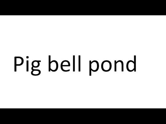Pig bell pond