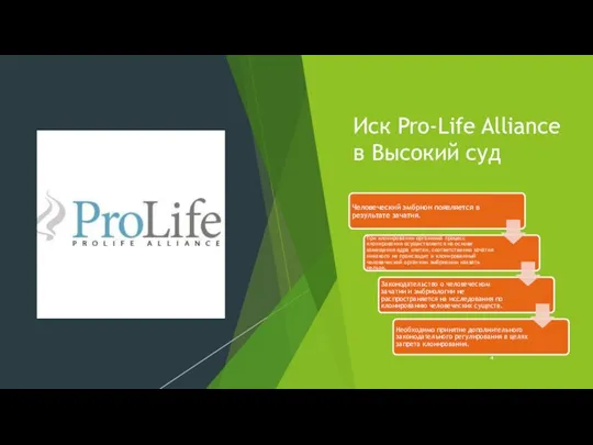 Иск Pro-Life Alliance в Высокий суд