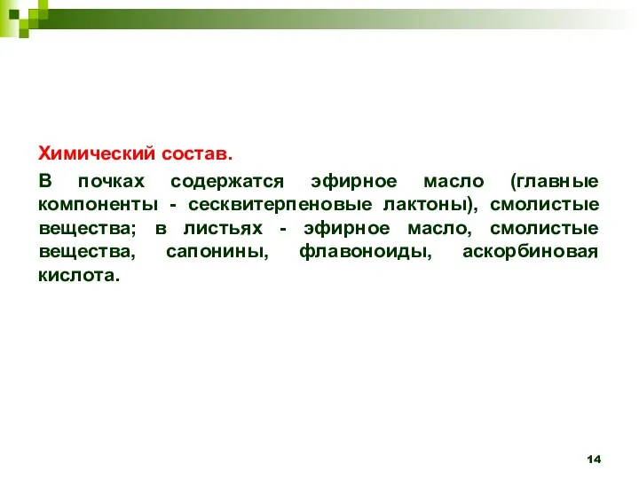 Химический состав. В почках содержатся эфирное масло (главные компоненты - сесквитерпеновые лактоны),