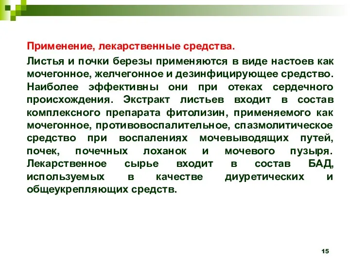 Применение, лекарственные средства. Листья и почки березы применяются в виде настоев как