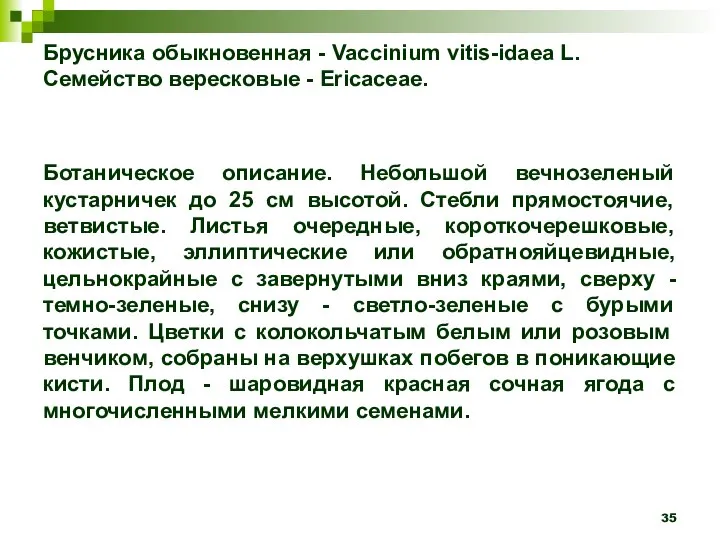 Брусника обыкновенная - Vaccinium vitis-idaea L. Семейство вересковые - Ericaceae. Ботаническое описание.