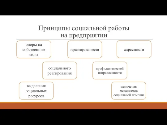 Принципы социальной работы на предприятии . опоры на собственные силы гарантированности адресности