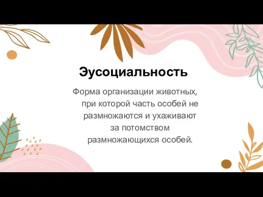 Эусоциальность Форма организации животных, при которой часть особей не размножаются и ухаживают за потомством размножающихся особей.