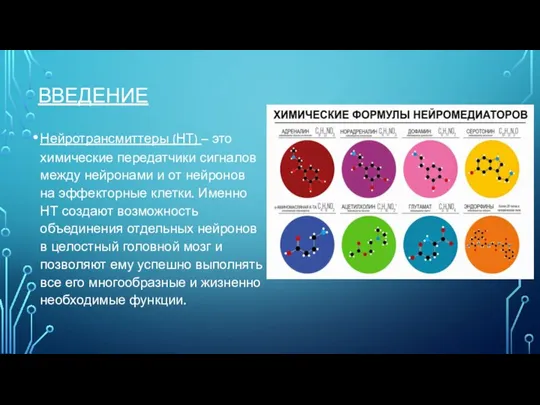 ВВЕДЕНИЕ Нейротрансмиттеры (НТ) – это химические передатчики сигналов между нейронами и от