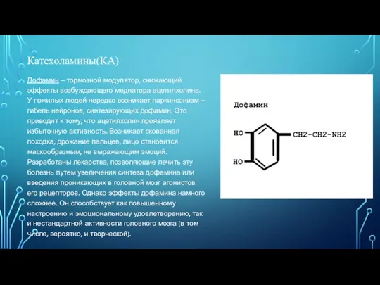 Дофамин – тормозной модулятор, снижающий эффекты возбуждающего медиатора ацетилхолина. У пожилых людей