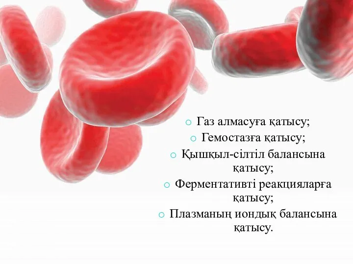 Газ алмасуға қатысу; Гемостазға қатысу; Қышқыл-сілтіл балансына қатысу; Ферментативті реакцияларға қатысу; Плазманың иондық балансына қатысу.