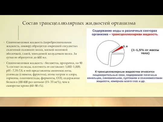 Состав трансцеллюлярных жидкостей организма Спинномозговая жидкость (цереброспинальная жидкость, ликвор) образуется секрецией сосудистых